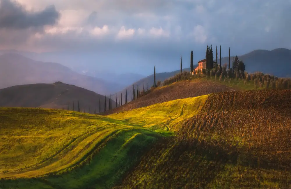 Prioteasa, Sebastian: Campi ondulati