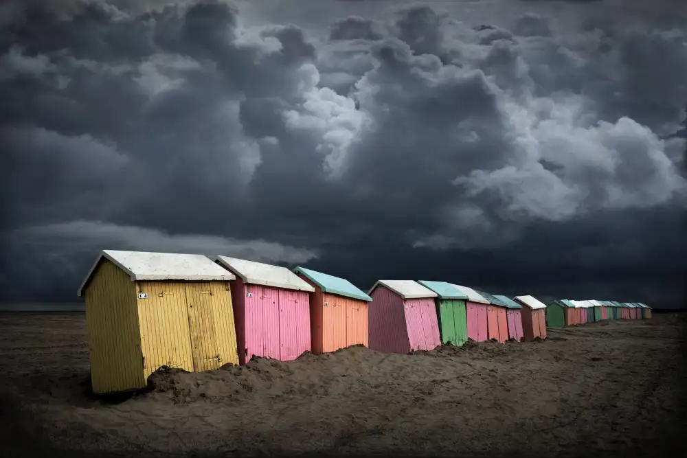 Scheunders, Jan: Después de la tormenta.
