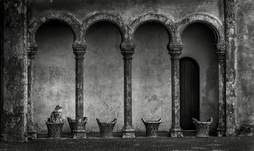 Zeng, Kenneth: Vecchi archi di pietra