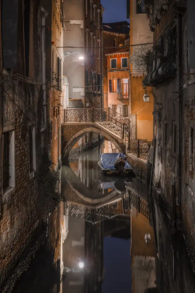 Carozzi, Fiorenzo: Il silenzio di Venezia
