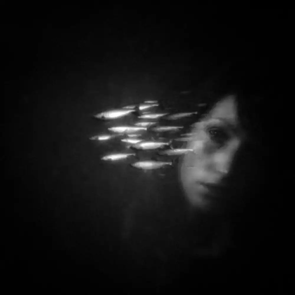 Droste, Holger: Frau des Wassermanns