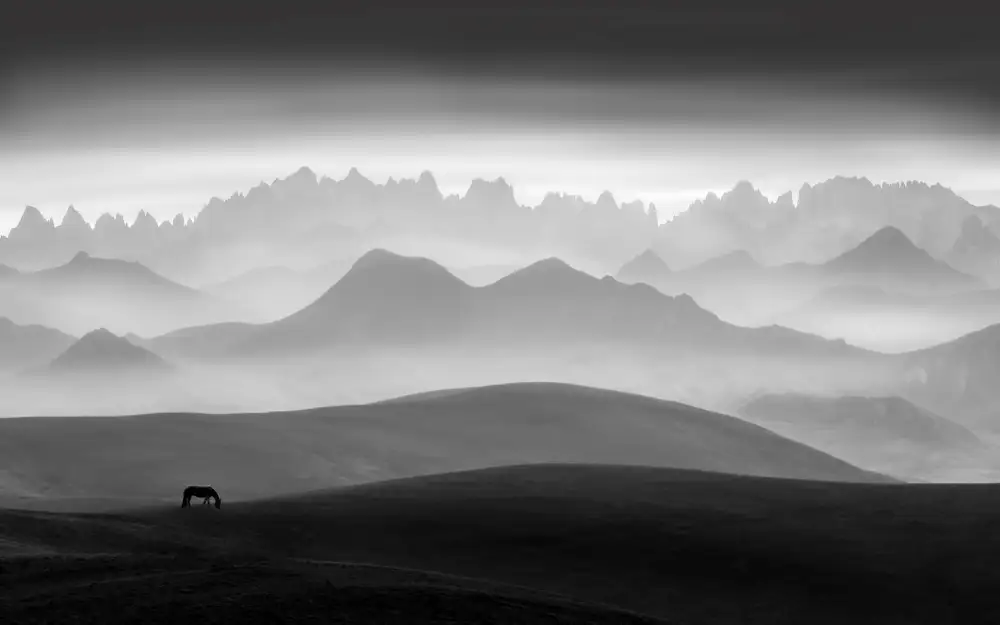 Wu, Irene: Terra di bellezza idilliaca