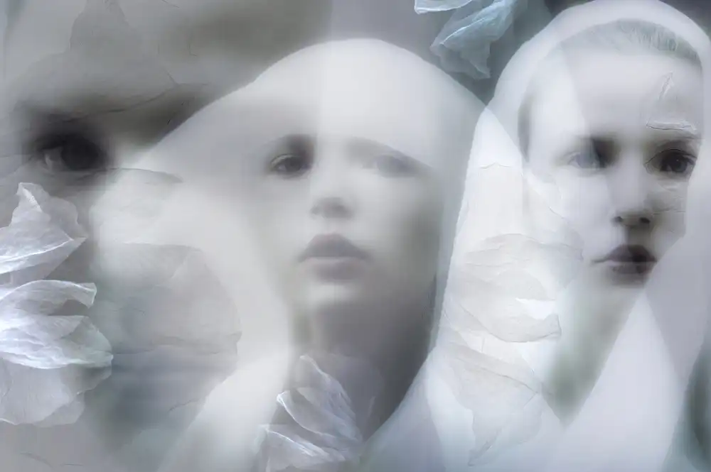 Shumilova, Ludmila: Il velo bianco