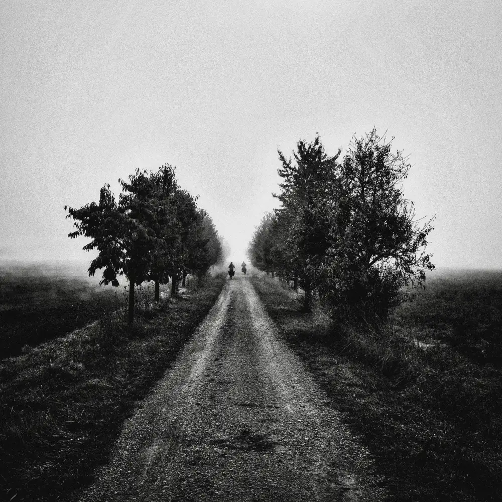 Bauer, Viktor: Mattino nebbioso IV