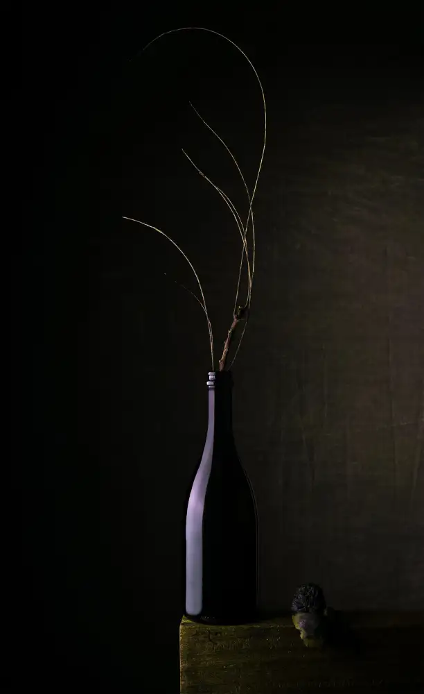 Dhuper, Sumit: Nature morte