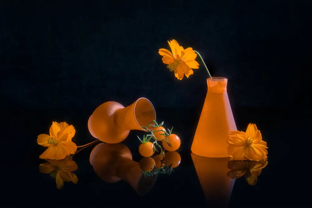 Jacobs, Lydia: Orangefarbene Anhänger
