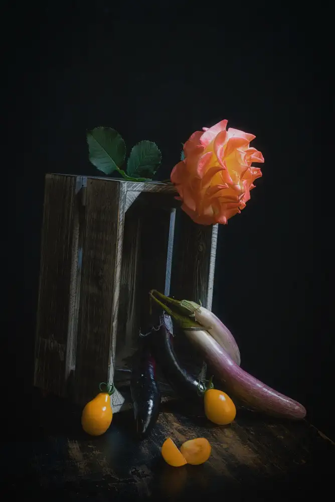 Jacobs, Lydia: Rose und Aubergine