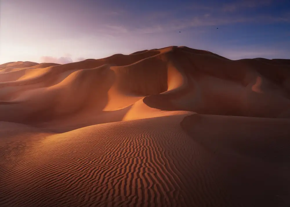 Joanaduenas: Dune e dune