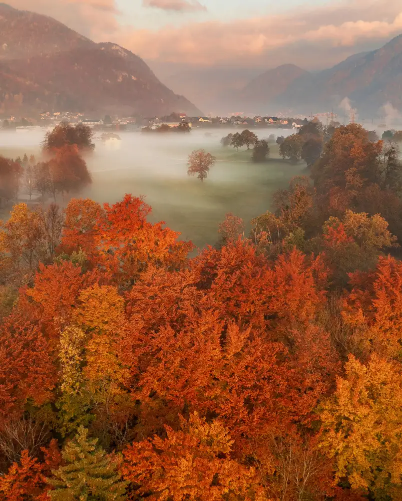 Krivec, Ales: Cornice autunnale
