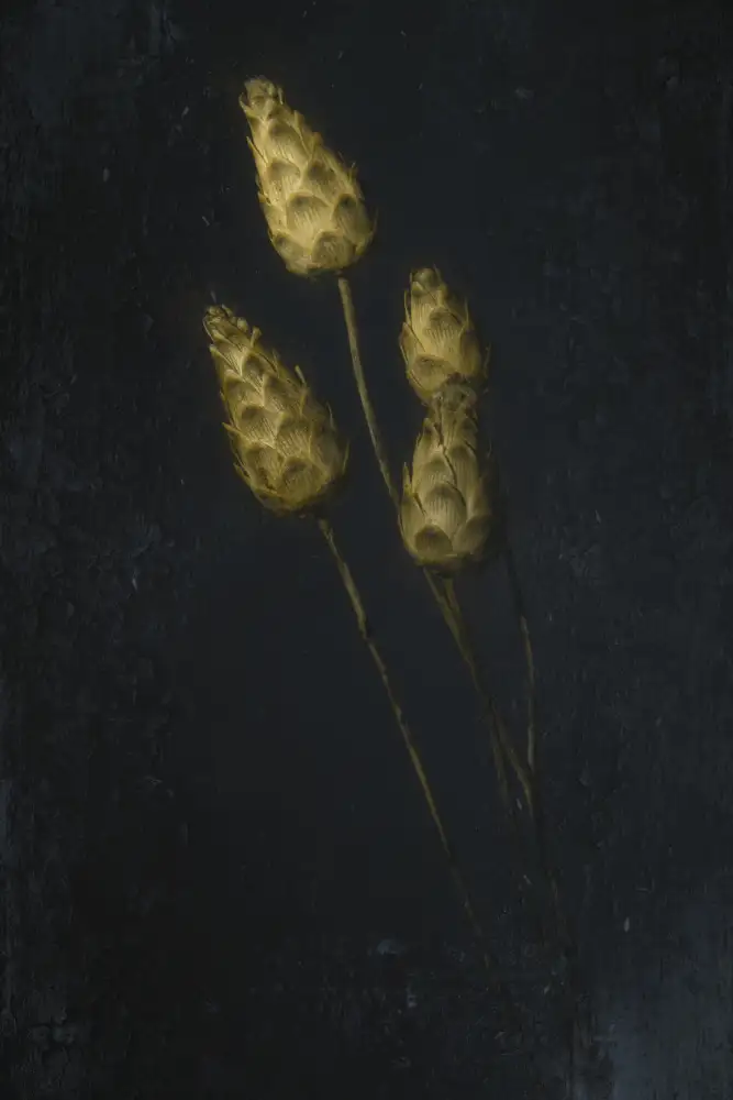 Kiral, Cicek: Silenziato