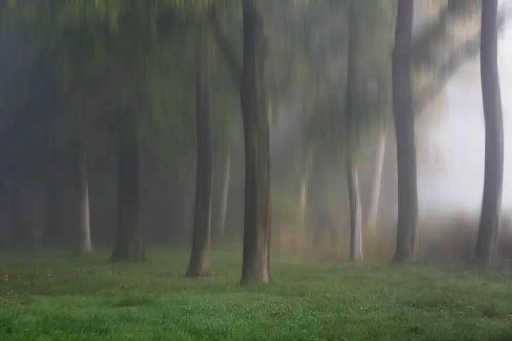 Louwen, Fred: Mystický park