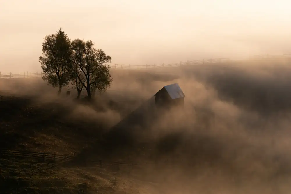 Prioteasa, Sebastian: Luce d'ottobre