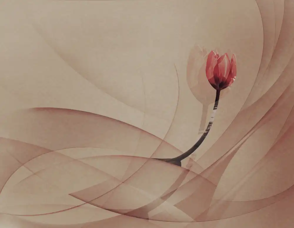 Ignatova, Desislava: linee