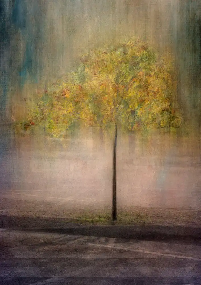 Holmström, Katarina: Rowan in der Stadt