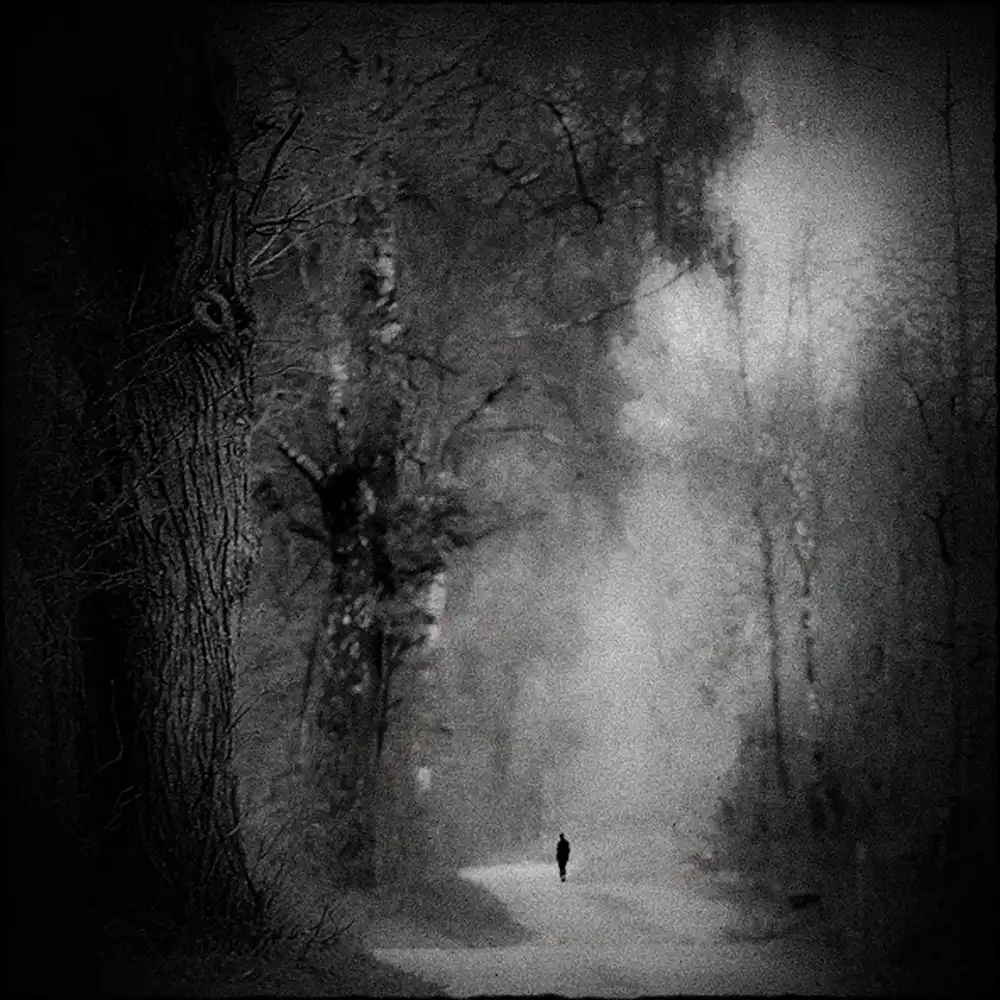 Wasinger, Renate: la solitudine nella foresta
