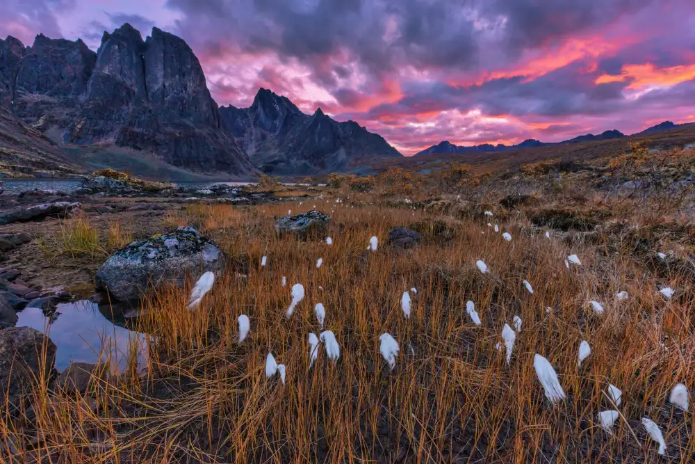 Zuo, Jun: Fall Color in the Mountain
