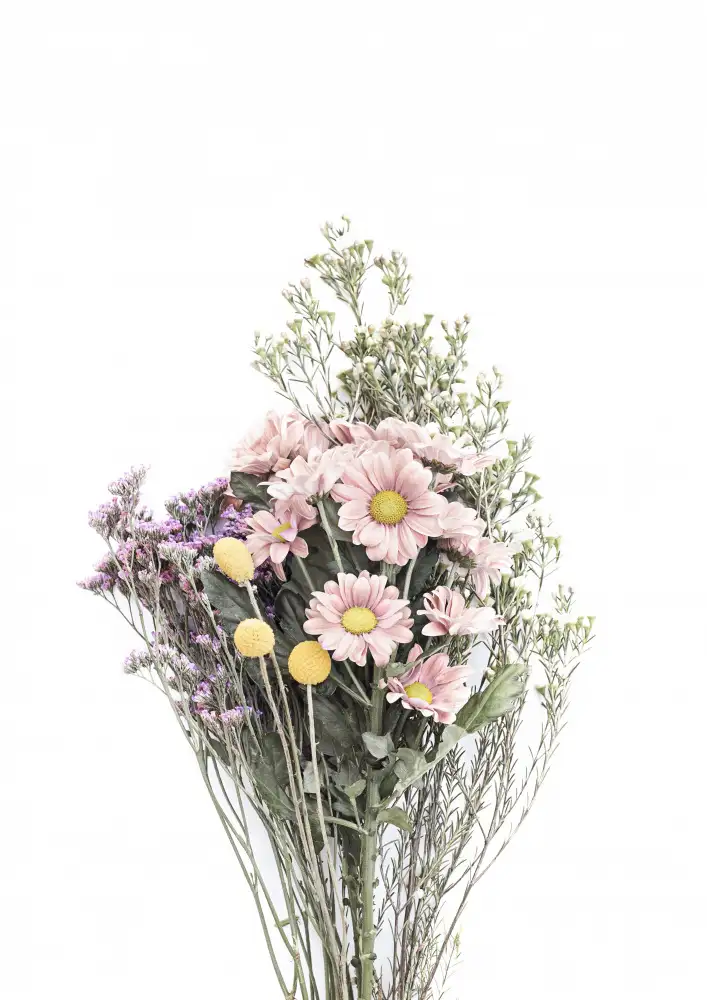 Pienaar, Kathrin: Wildblumen