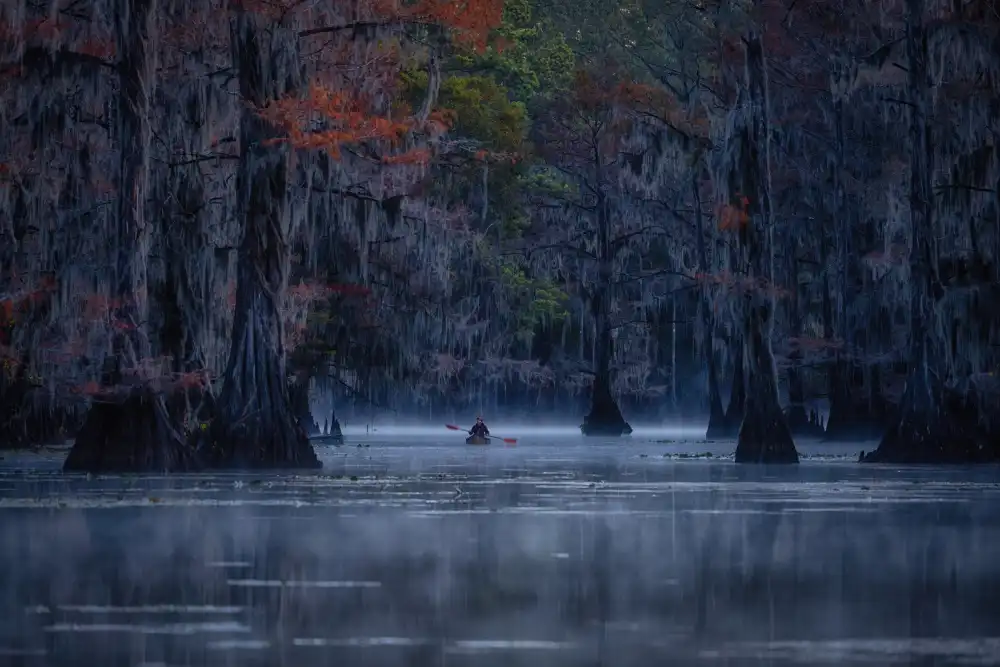 Zheng, Michael: Der Herbst naht am Caddo Lake
