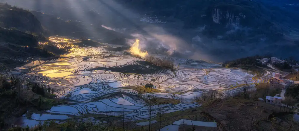 Zhang, Johnny: terrazza
