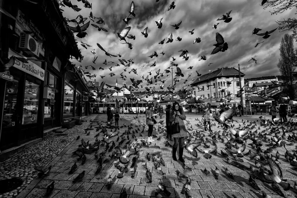Kortan, Merthan: Piazza Sarajevo....