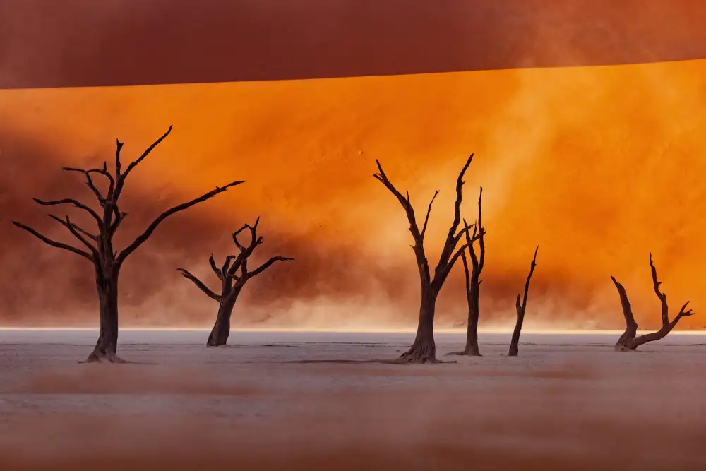 Buliga, Gina: Namibia: Der Geist der Wildnis