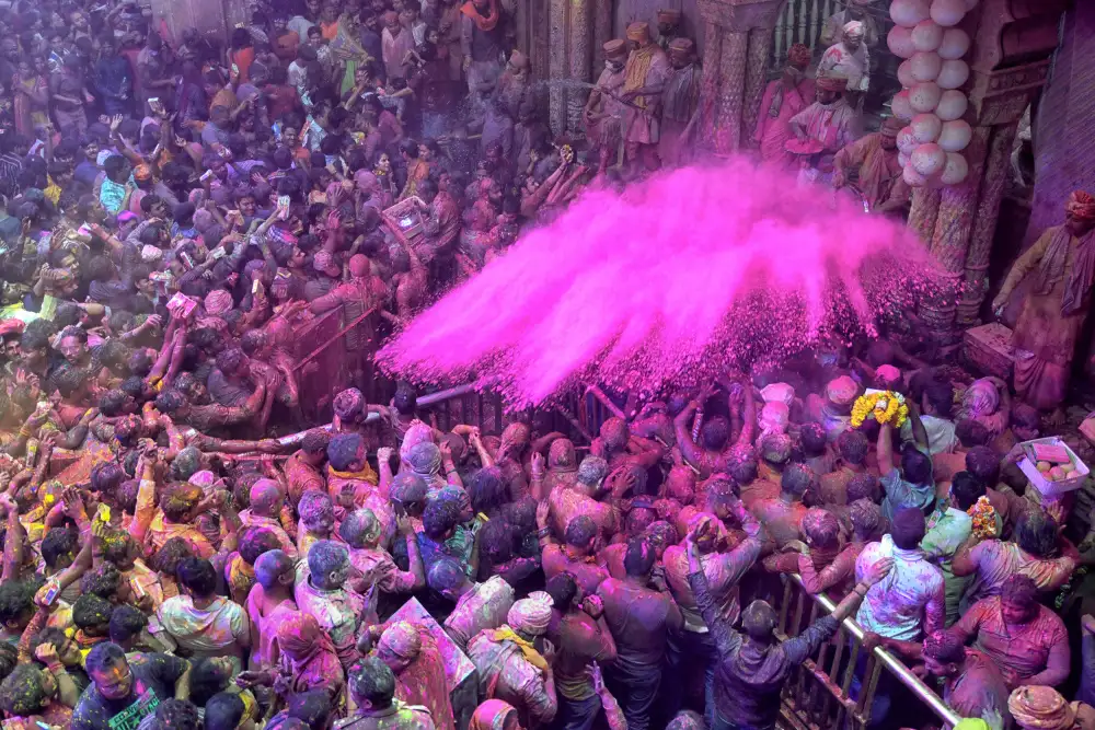 Nandi, Shaibal: Magia rosa