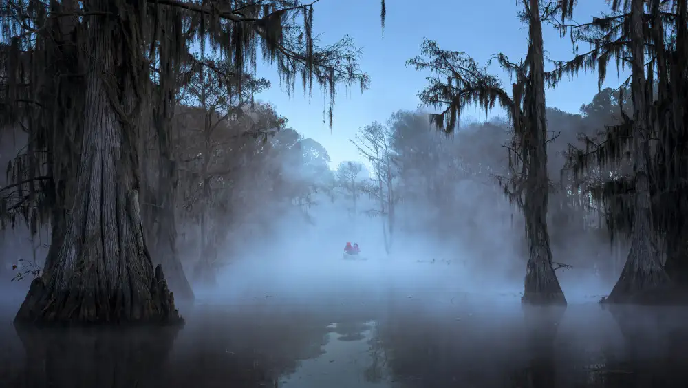 P., Ruiqing: Nebliger Morgen am Caddo-See