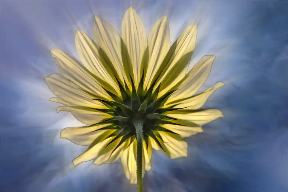 Claes, Gilbert: adorador solar