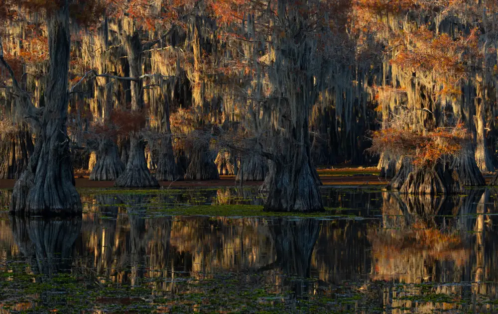 Huang, Johnson: lago Caddo