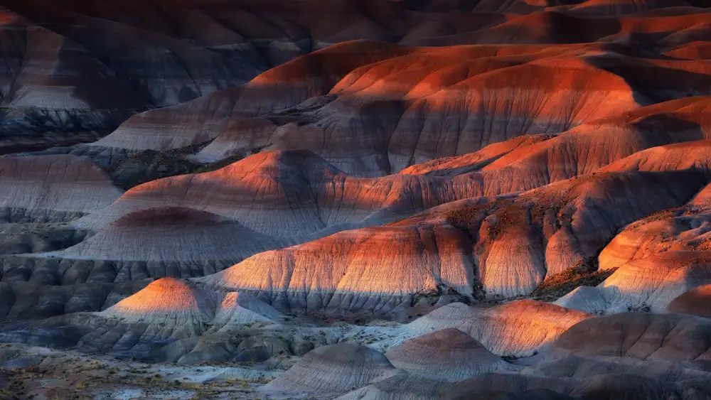 Zhang, Johnny: Deserto Dipinto