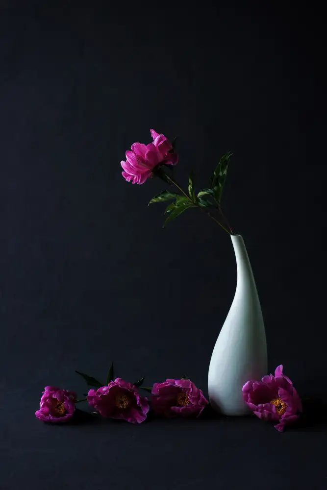 Summer2016: Nature morte pivoine commune