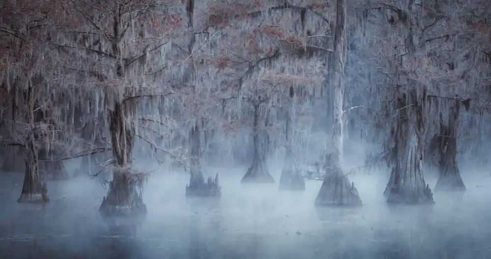 Wei, Willa: Jezero Caddo