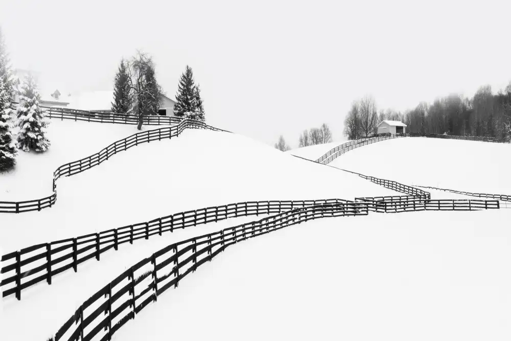Zhao, Emma: Fattoria in inverno