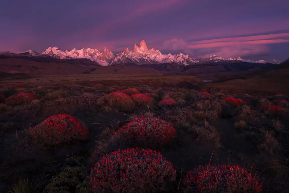 P., Ruiqing: Primavera a Torres del Paine