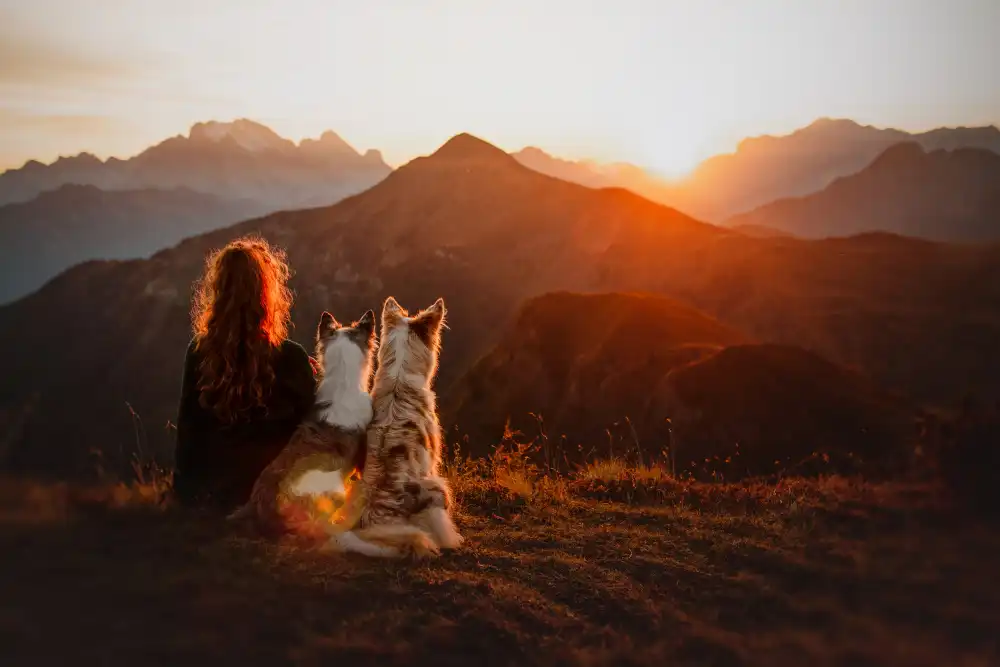 Shandor, Ve: Sonnenuntergangsstimmung