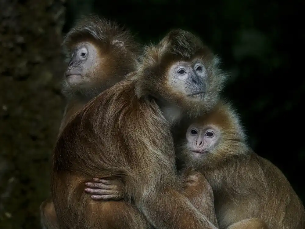 Sukrisman, Lugyanti: Famiglia