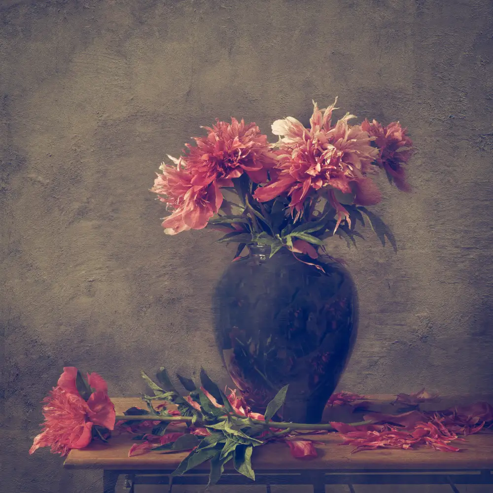 Velzen, van Monique: Still life Peony