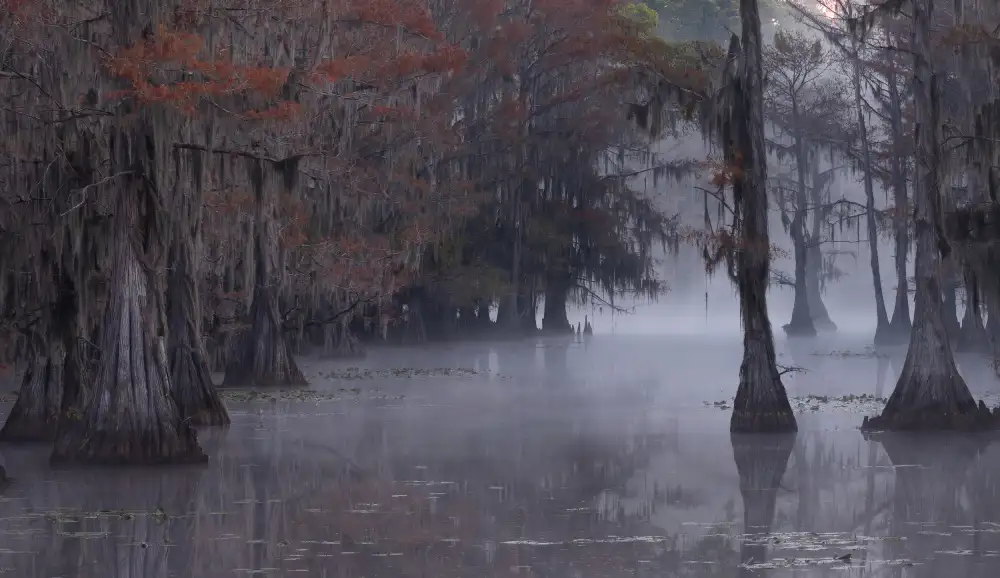 Huang, Johnson: Lago Caddo