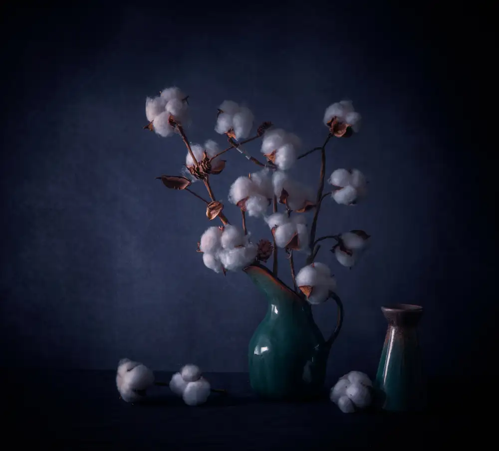 May, G.: Fiori di cotone