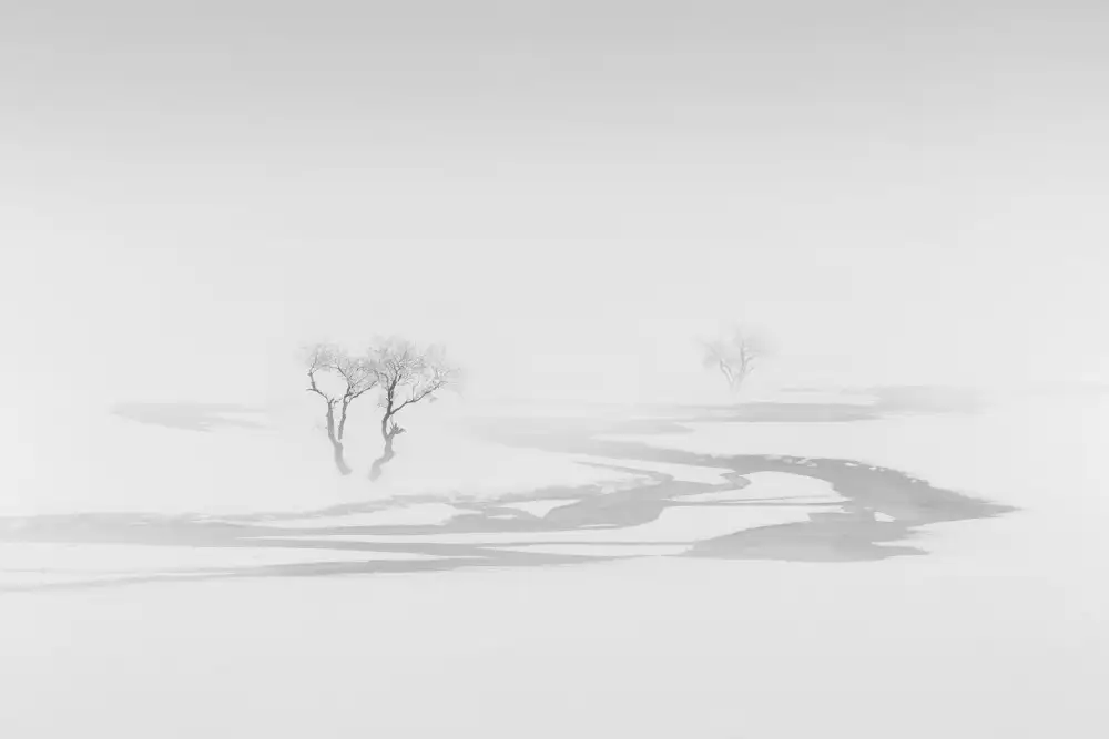 Nodeh, Mostafa: Dream