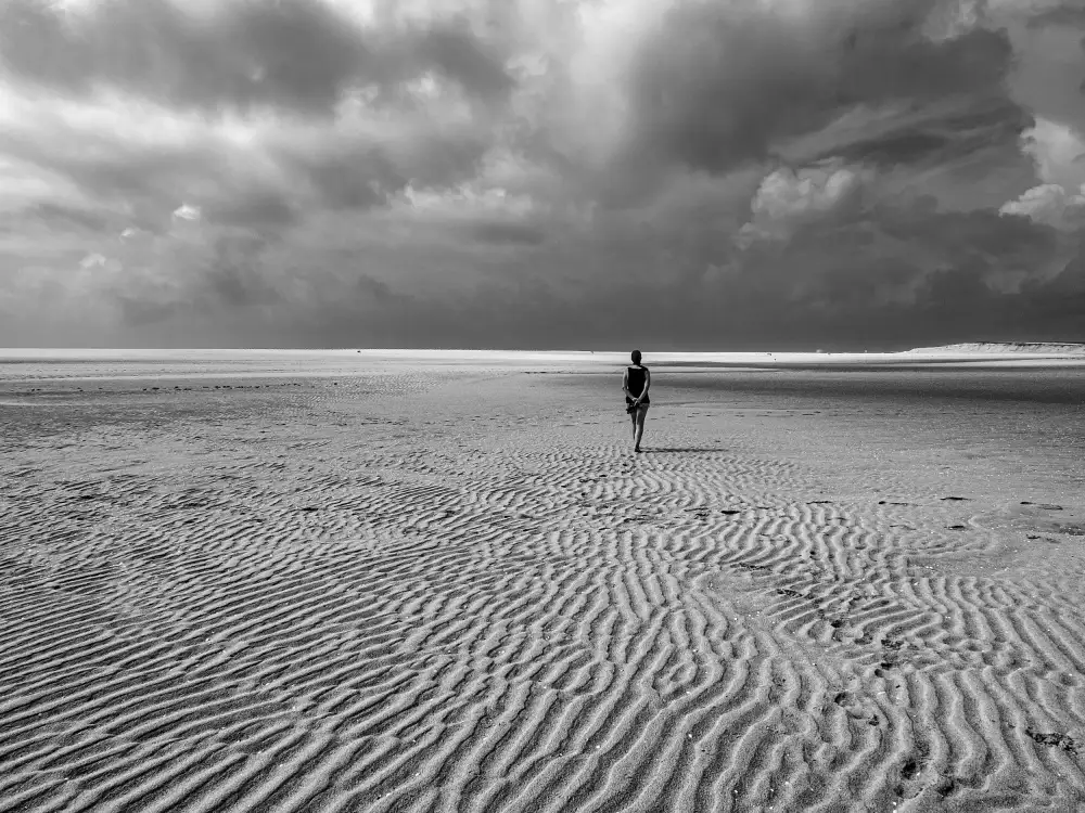 Urrutia, Adolfo: Immensità