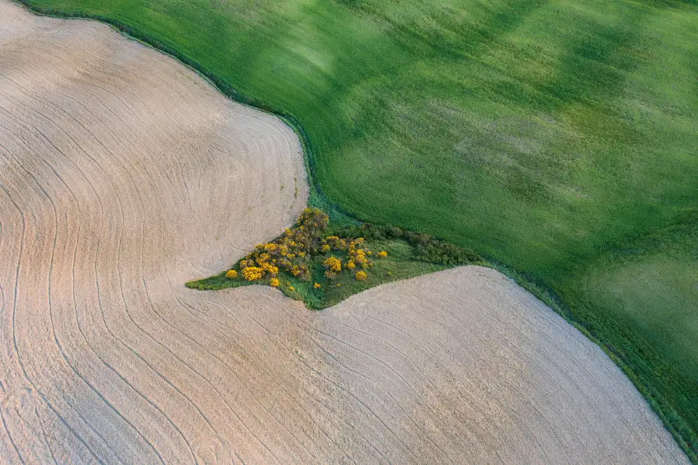 Ruoppolo, Luigi: La terra di Toscana