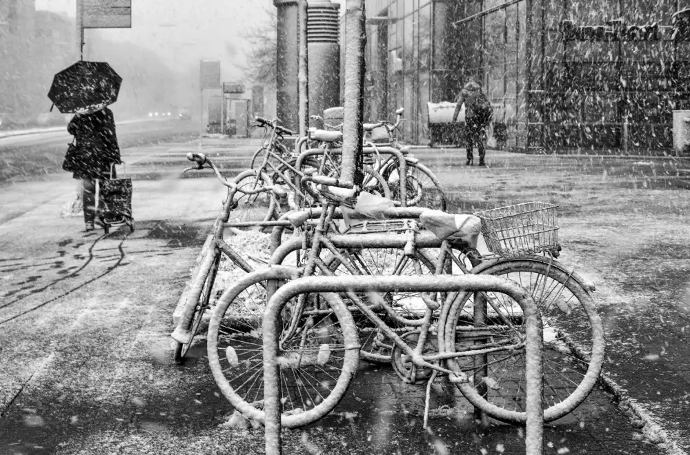 Günther, Hans: Erster Schnee