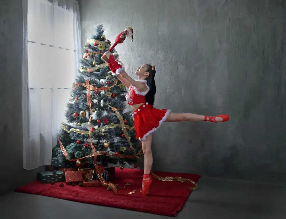 Aditya, Rawisyah: Frohe Weihnachtszeit