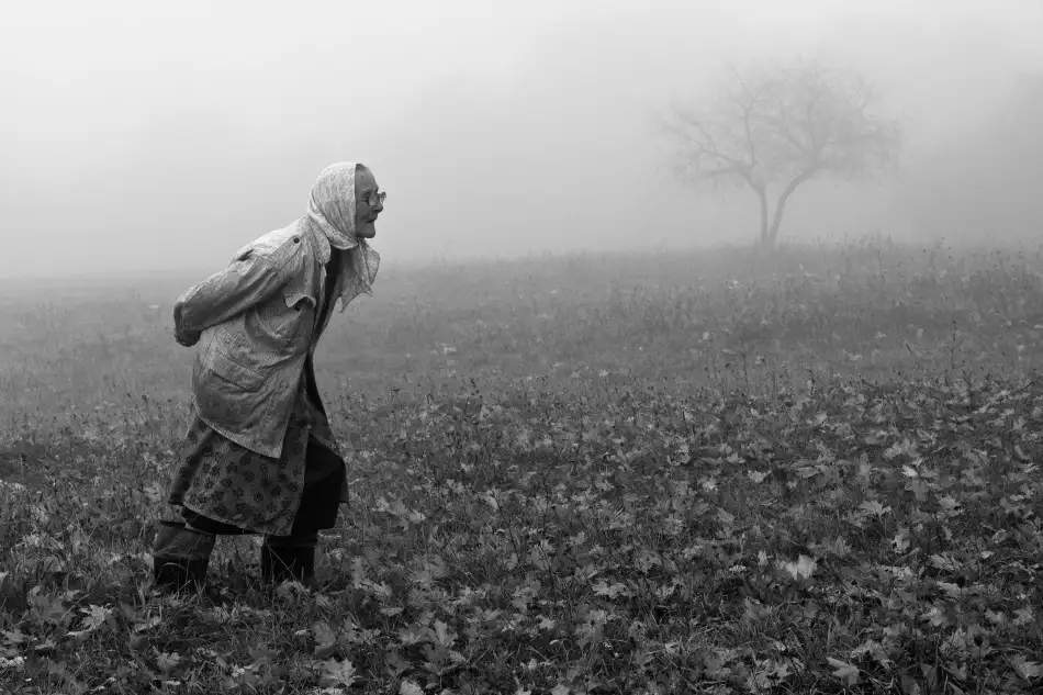 Kruk, Przemyslaw: Herbst