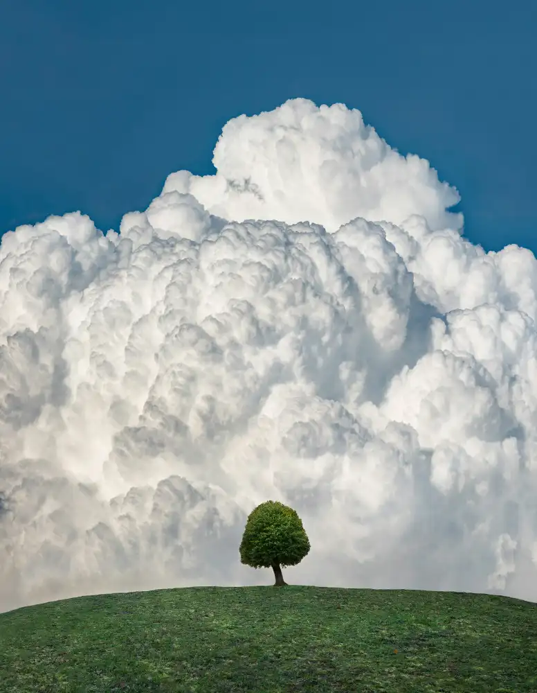 Lindsten, Christian: Oben in den Wolken