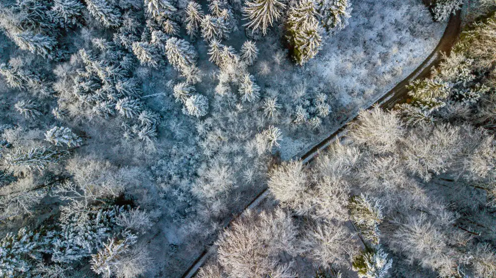 Zimmermann, Urs: umore invernale