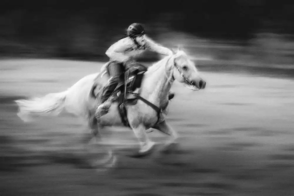 Zhou, Steven: Galop