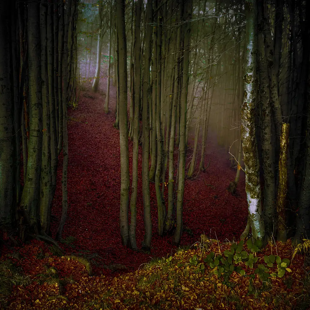 Traverso, Alessandro: Nostalgia d'autunno
