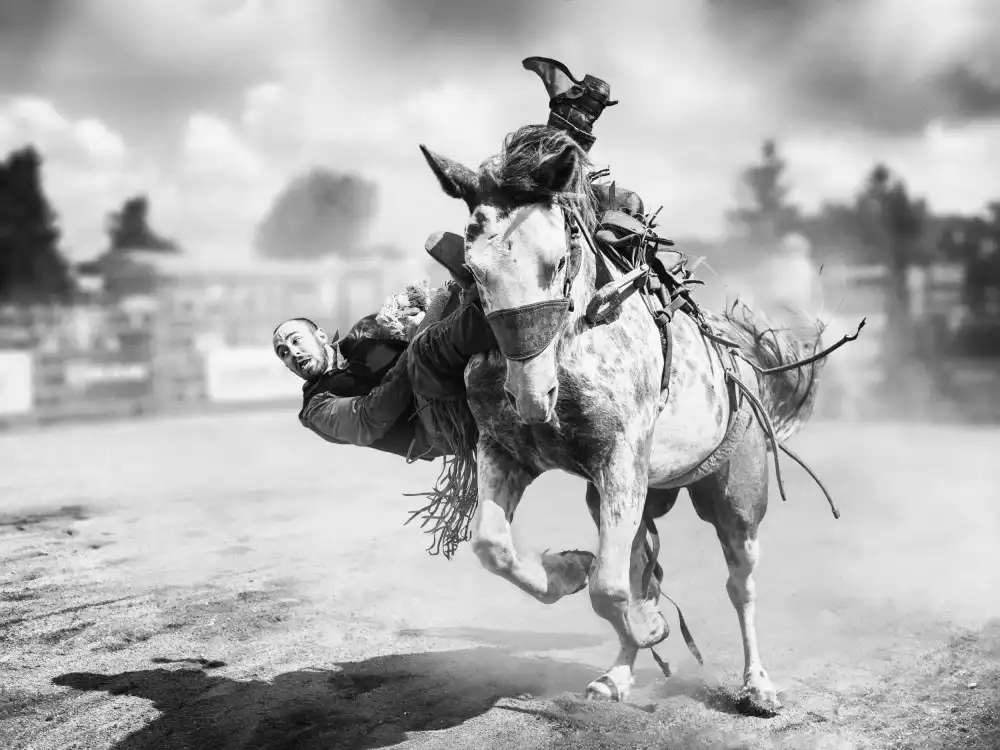 Zhou, Steven: Cheval de combat